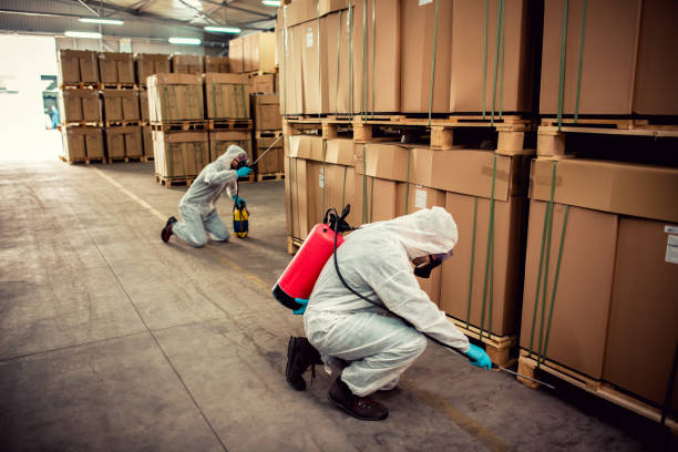 Best Emergency Pest Control  in Eureka Springs, AR