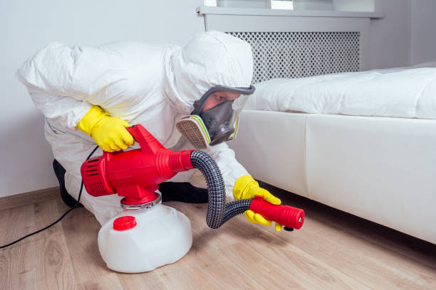 Best Local Pest Control Services  in Eureka Springs, AR