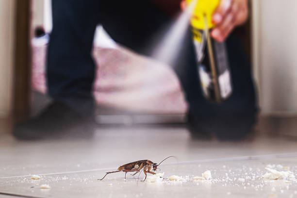 Best Pest Removal Services  in Eureka Springs, AR
