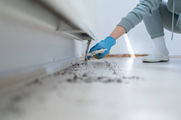 Best Pest Control for Restaurants  in Eureka Springs, AR