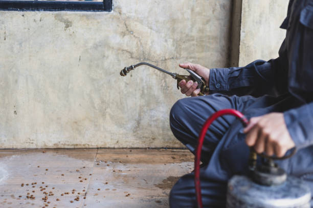 Best Affordable Pest Control Services  in Eureka Springs, AR