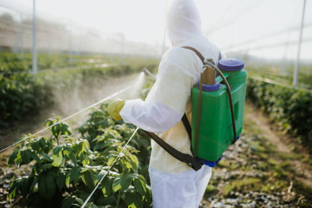 Best Pest Control Near Me  in Eureka Springs, AR